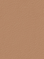 Screen Shot 2020-11-19 at 11.05.27 PM